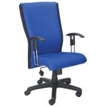 TWIG MEDIUM BACK CHAIR | Modern Furniture